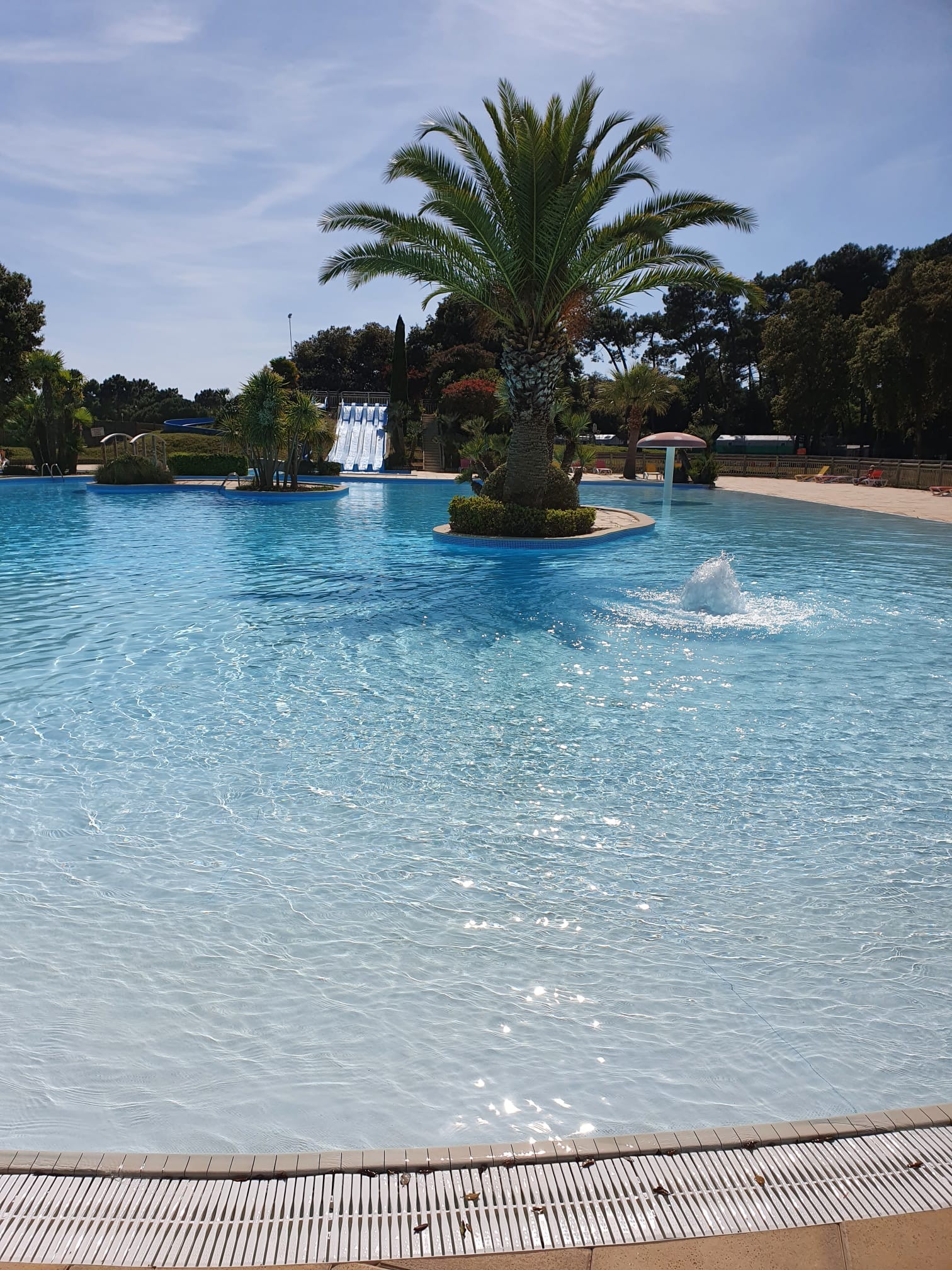 ... On s'aperçoit que la piscine n'a pas suffit à la récupération !